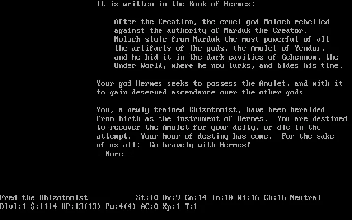 Screenshot of NetHack